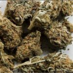 acheter cannabis, acheter du cannabis
